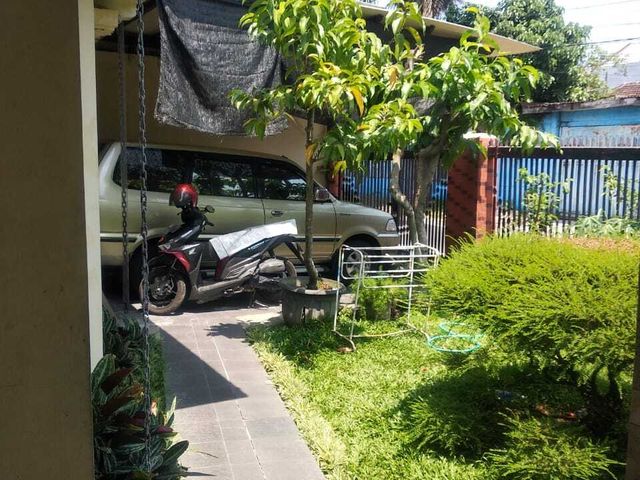 place photo 11