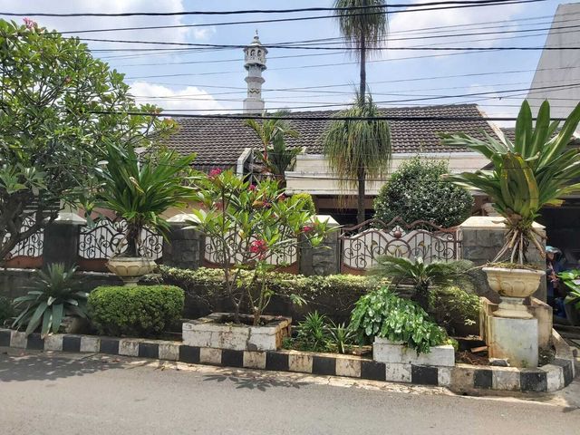 place photo 14