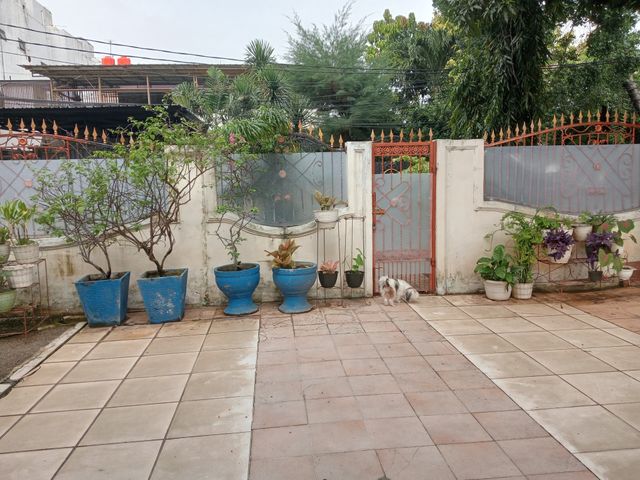 place photo 19