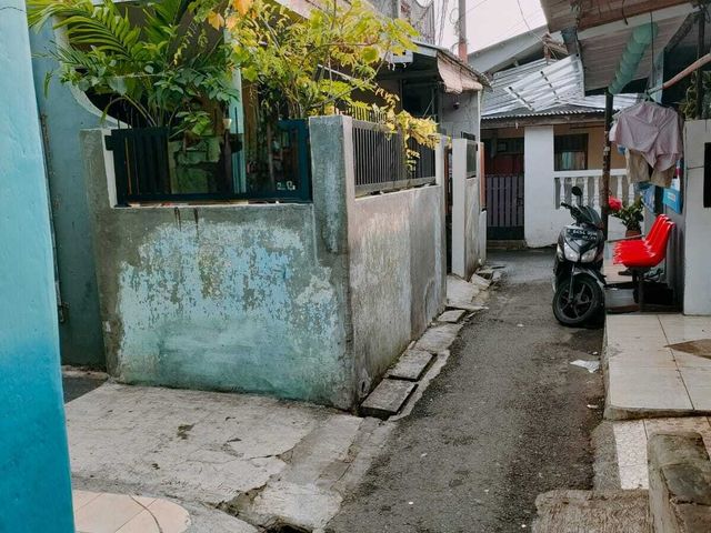 place photo 11