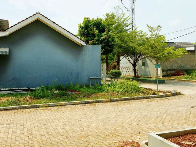 place photo 22