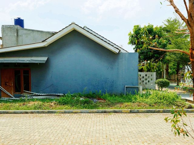 place photo 24