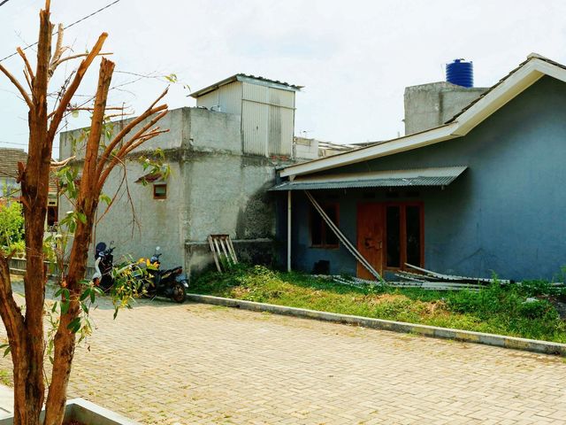 place photo 23