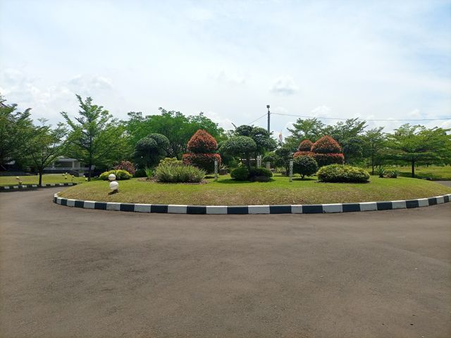 place photo 16