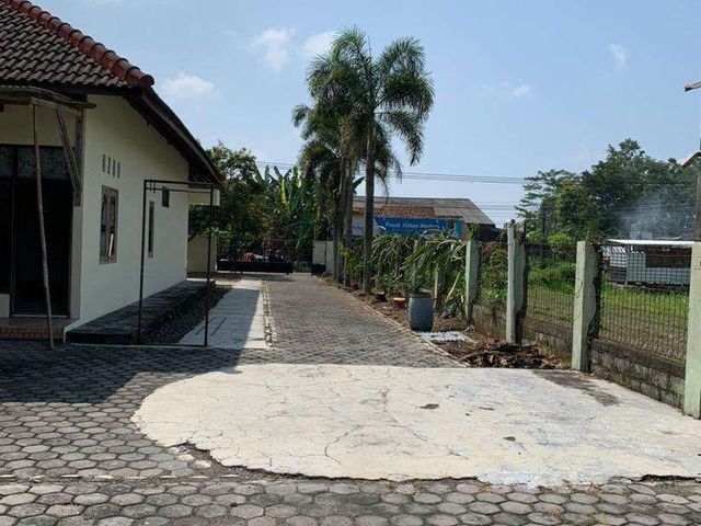 place photo 18
