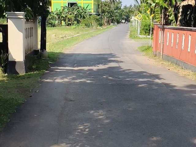 place photo 9