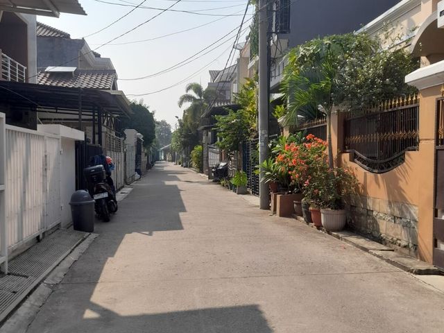 place photo 6