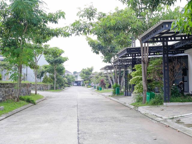 place photo 26