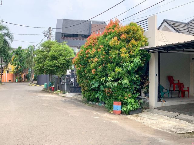 place photo 9