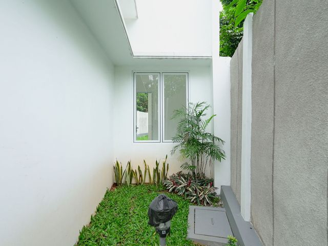 place photo 37