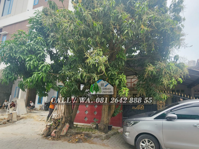 place photo 6
