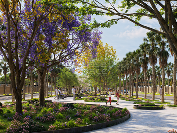 place photo 26