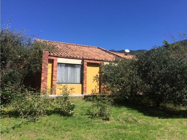 place photo 68