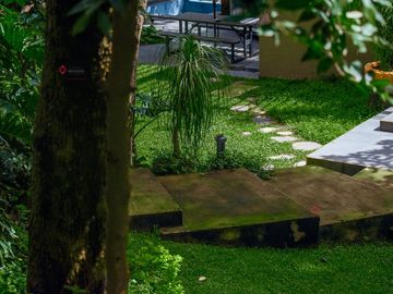 place photo 41