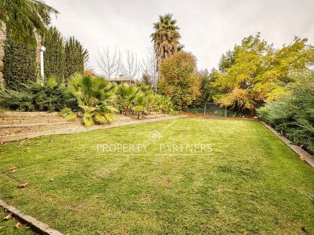 place photo 37