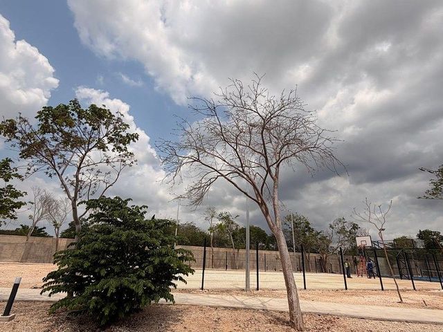 place photo 41