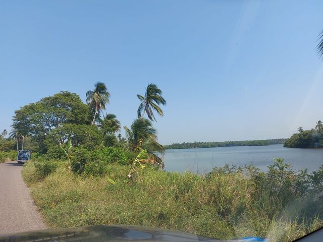 place photo 29
