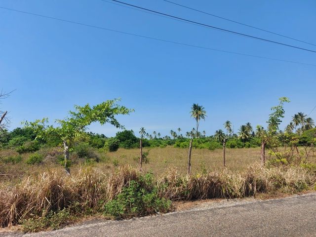 place photo 23