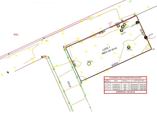 place photo 7