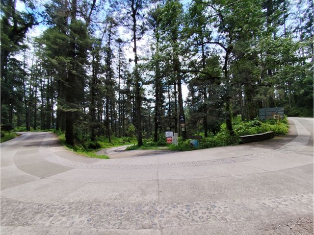 place photo 30