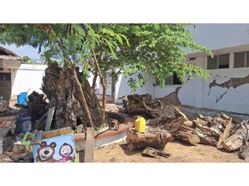 place photo 15