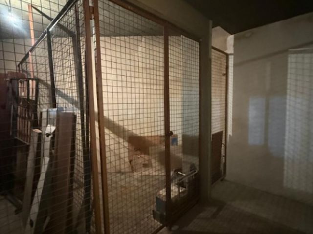 place photo 30