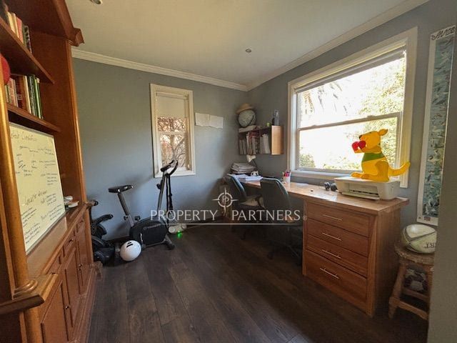 place photo 15