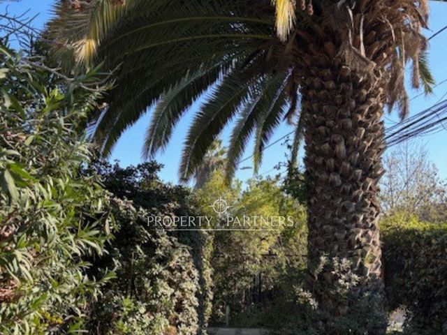 place photo 54