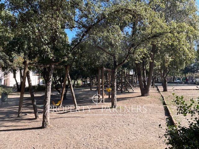 place photo 43
