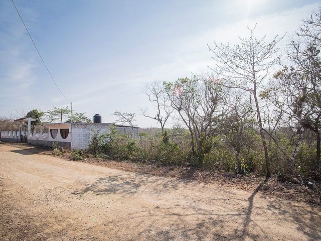 place photo 8