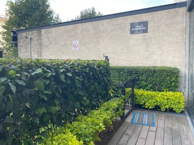 place photo 34