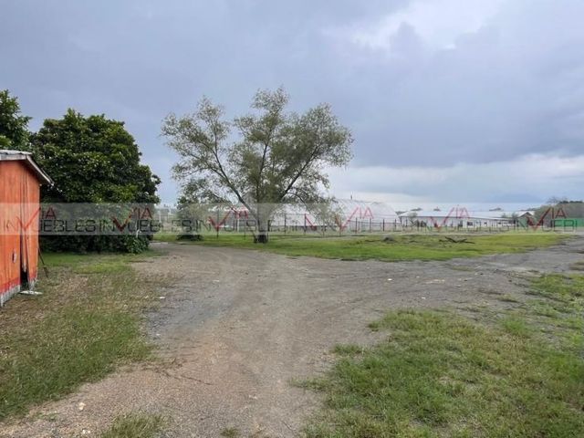 place photo 9