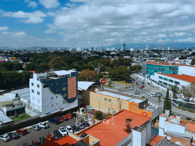 place photo 16