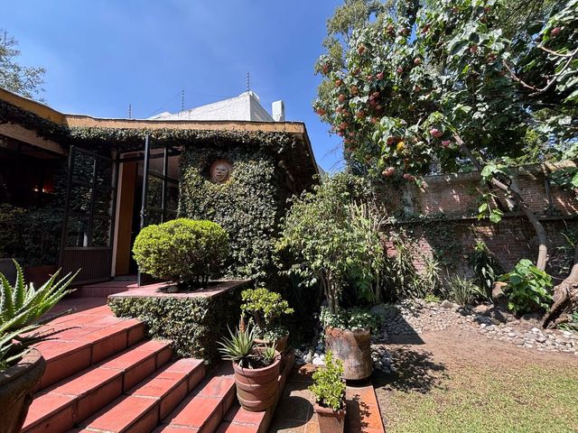 place photo 47