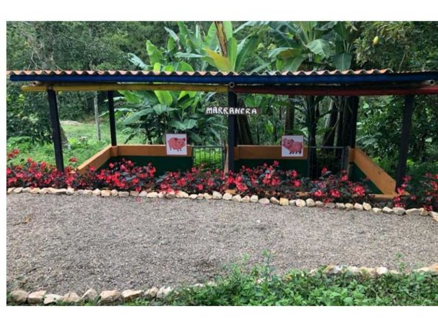 place photo 18