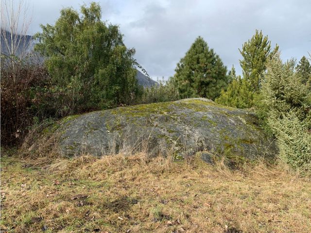 place photo 17