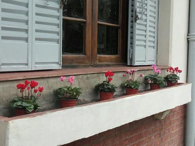 place photo 37
