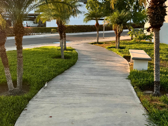 place photo 23