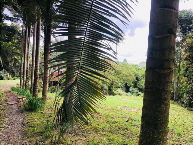 place photo 43
