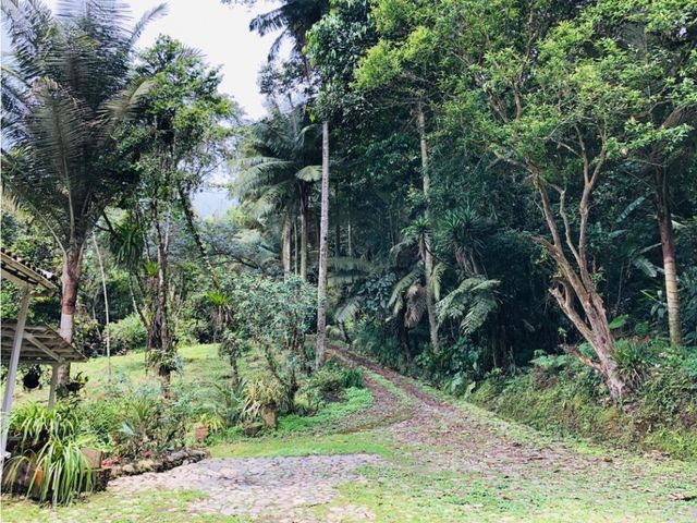 place photo 47