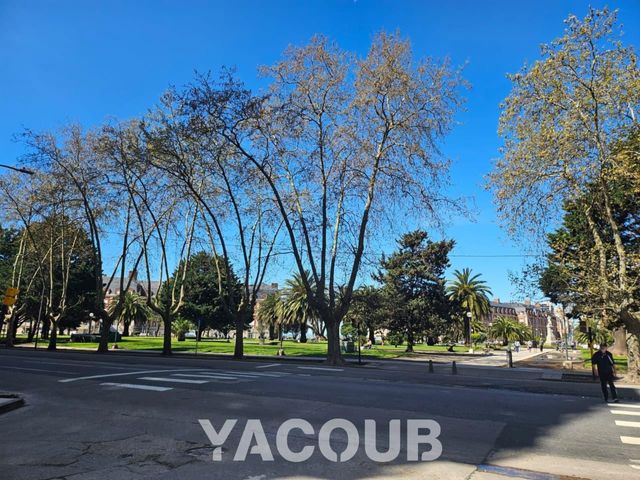place photo 15