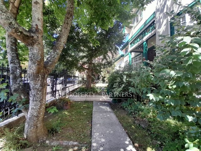 place photo 22