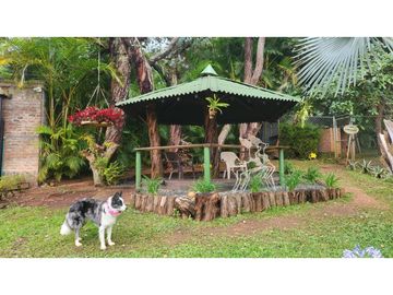 place photo 16