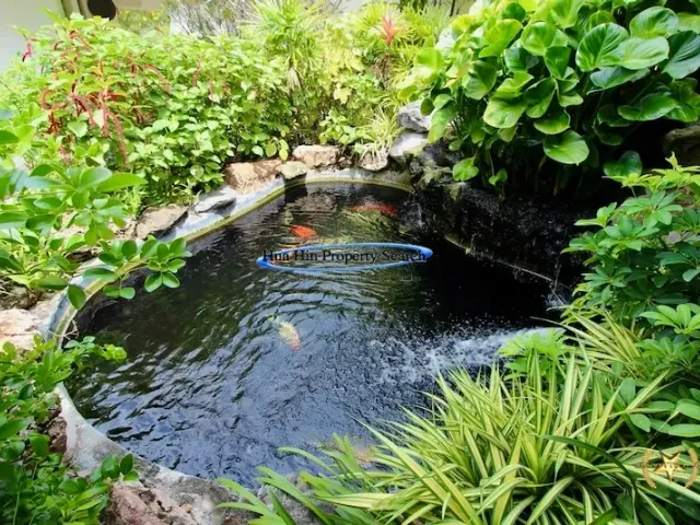 place photo 42