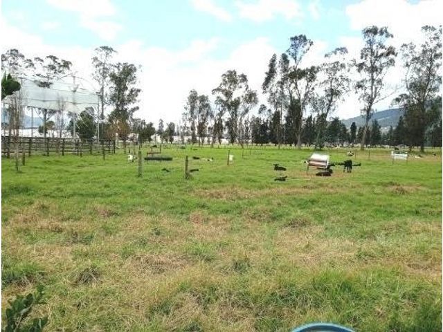 place photo 27
