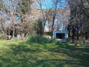 place photo 11