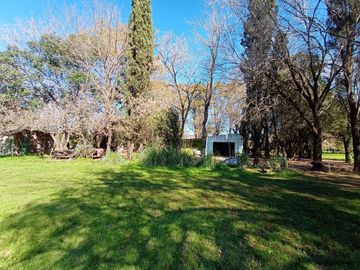 place photo 12