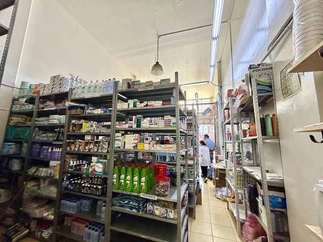 place photo 10