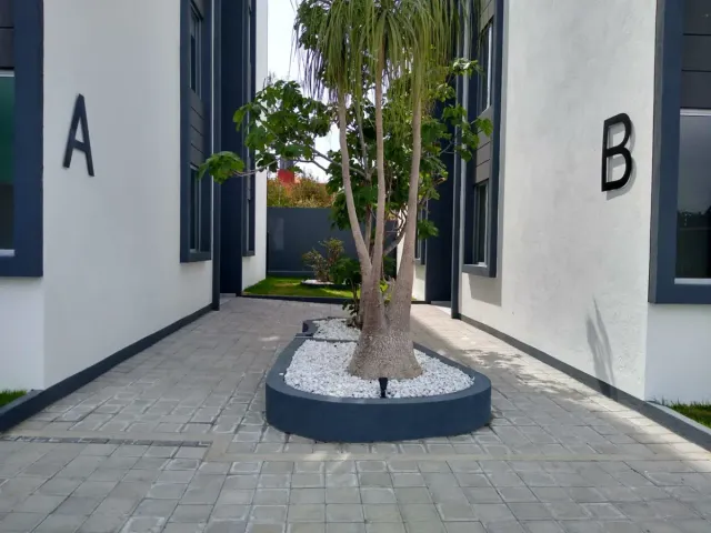 place photo 21