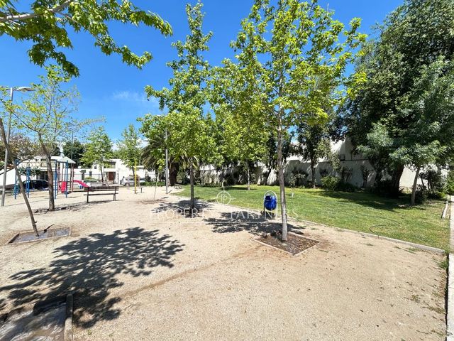 place photo 54